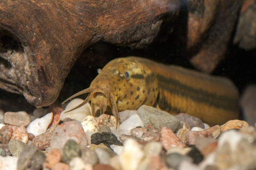 Snímek obrazovky 2025-11-11 141057.png